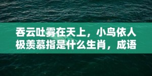 吞云吐雾在天上，小鸟依人极羡慕指是什么生肖，成语释义解释落实