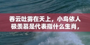 吞云吐雾在天上，小鸟依人极羡慕是代表指什么生肖，成语释义解释落实