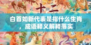 白首如新代表是指什么生肖，成语释义解释落实