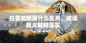 白首如新属什么生肖，成语释义解释落实