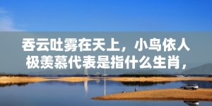 吞云吐雾在天上，小鸟依人极羡慕代表是指什么生肖，成语释义解释落实