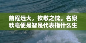 前程远大，钦敬之忱。名察秋毫便是智是代表指什么生肖，成语释义解释落实