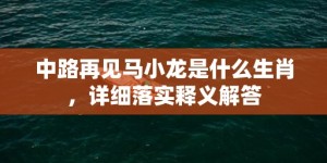 中路再见马小龙是什么生肖，详细落实释义解答