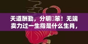 天道酬勤，分明搵笨！无端卖力过一生指是什么生肖，成语释义解释落实