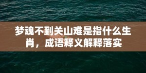 梦魂不到关山难是指什么生肖，成语释义解释落实