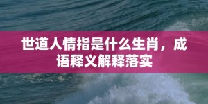 世道人情指是什么生肖，成语释义解释落实