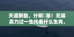 天道酬勤，分明搵笨！无端卖力过一生代表什么生肖，成语释义解释落实