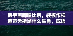 指手画脚瞎比划，装模作样造声势指是什么生肖，成语释义解释落实