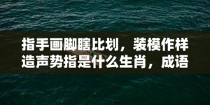 指手画脚瞎比划，装模作样造声势指是什么生肖，成语释义解释落实x