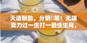 天道酬勤，分明搵笨！无端卖力过一生打一最佳生肖，成语释义解释落实