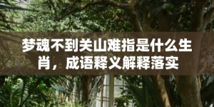 梦魂不到关山难指是什么生肖，成语释义解释落实