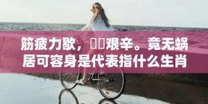 筋疲力歇，備嘗艰辛。竟无蜗居可容身是代表指什么生肖，成语释义解释落实