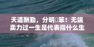 天道酬勤，分明搵笨！无端卖力过一生是代表指什么生肖，成语释义解释落实