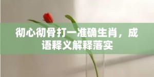 彻心彻骨打一准确生肖，成语释义解释落实