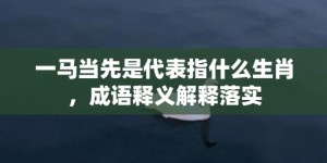 一马当先是代表指什么生肖，成语释义解释落实