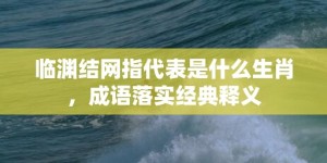 临渊结网指代表是什么生肖，成语落实经典释义