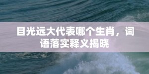 目光远大代表哪个生肖，词语落实释义揭晓