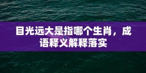目光远大是指哪个生肖，成语释义解释落实
