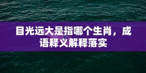 目光远大是指哪个生肖，成语释义解释落实