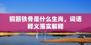 铜筋铁骨是什么生肖，词语释义落实解释