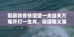 铜筋铁骨铁墙壁一夫当关万难开打一生肖，词语释义落实解释