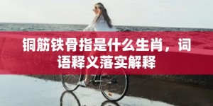 铜筋铁骨指是什么生肖，词语释义落实解释