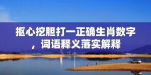 抠心挖胆打一正确生肖数字，词语释义落实解释