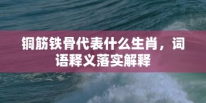 铜筋铁骨代表什么生肖，词语释义落实解释