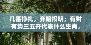 几番挣扎，弃暗投明；有财有势三五开代表什么生肖，词语释义落实解释