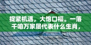 捉紧机遇，大饱口福。一落千咱万家屡代表什么生肖，成语释义解释落实