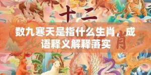 数九寒天是指什么生肖，成语释义解释落实