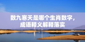 数九寒天是哪个生肖数字，成语释义解释落实