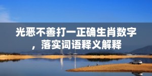 光恶不善打一正确生肖数字，落实词语释义解释