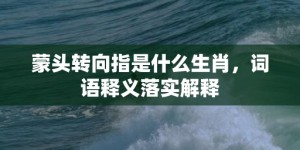 蒙头转向指是什么生肖，词语释义落实解释