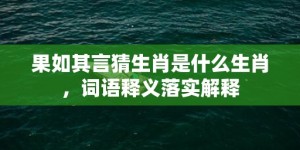 果如其言猜生肖是什么生肖，词语释义落实解释