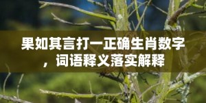 果如其言打一正确生肖数字，词语释义落实解释