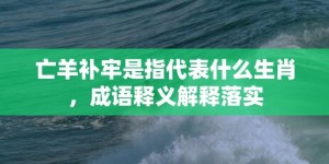 亡羊补牢是指代表什么生肖，成语释义解释落实