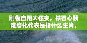 刚愎自用太狂妄，铁石心肠难磨化代表是指什么生肖，成语落实释义解释