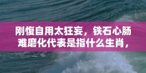 刚愎自用太狂妄，铁石心肠难磨化代表是指什么生肖，成语解释落实释义