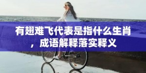 有翅难飞代表是指什么生肖，成语解释落实释义