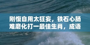 刚愎自用太狂妄，铁石心肠难磨化打一最佳生肖，成语解释落实释义