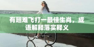 有翅难飞打一最佳生肖，成语解释落实释义