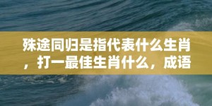 殊途同归是指代表什么生肖，打一最佳生肖什么，成语解释落实释义