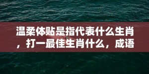 温柔体贴是指代表什么生肖，打一最佳生肖什么，成语解释落实释义