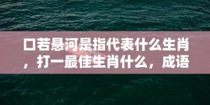 口若悬河是指代表什么生肖，打一最佳生肖什么，成语解释落实释义