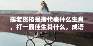 摆老资格是指代表什么生肖，打一最佳生肖什么，成语解释落实释义