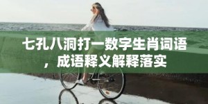 七孔八洞打一数字生肖词语，成语释义解释落实