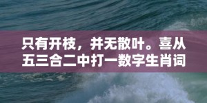 只有开枝，并无散叶。喜从五三合二中打一数字生肖词语，成语释义解释落实