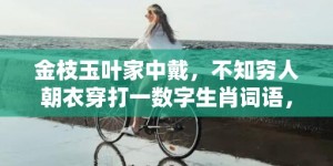 金枝玉叶家中戴，不知穷人朝衣穿打一数字生肖词语，成语释义解释落实