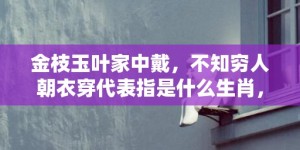 金枝玉叶家中戴，不知穷人朝衣穿代表指是什么生肖，成语释义解释落实